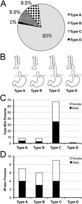 From the Ground Up: Esophageal Atresia Types, Disease Severity Stratification and Survival Rates at a Single Institution